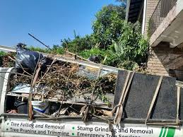 Professional Junk Removal Services in New Iberia, LA